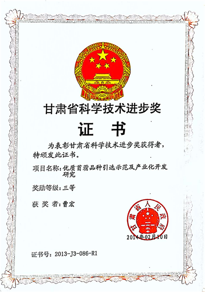 图片3_副本1.png