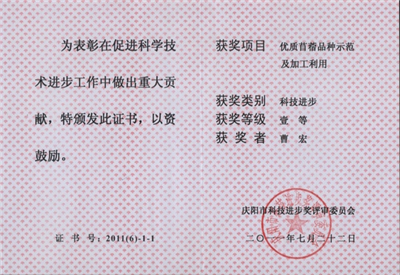 图片11_副本1.png