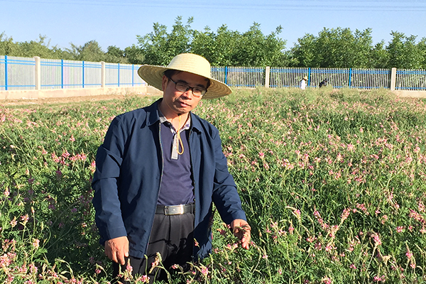 曹宏在西峰牧草科研基地（2018.5）1.jpg